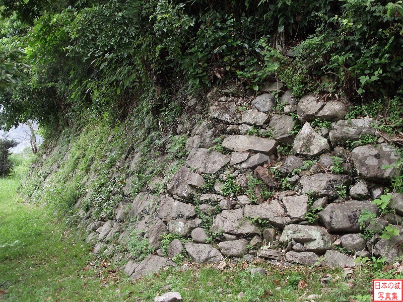 安芸城 城内 城内中央の丘の石垣