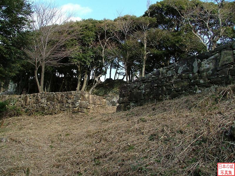 Kaneishi Castle 