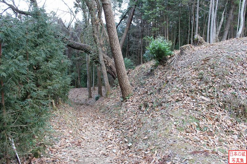 Uda Matsuyama Castle Load to main enclosure