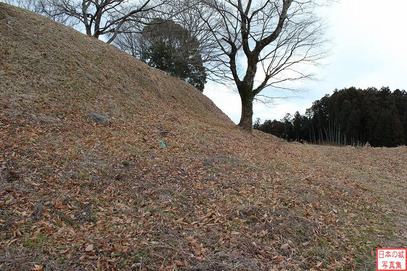 Uda Matsuyama Castle Main enclosure