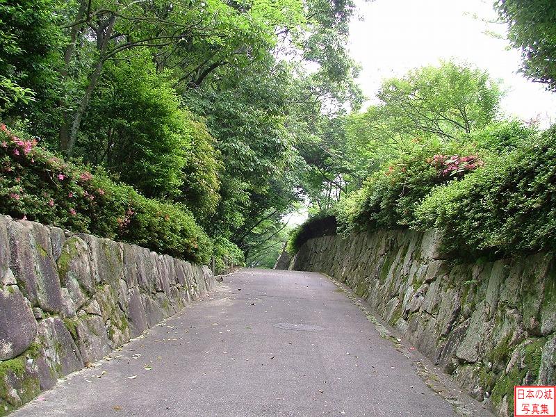 亀居城 二の丸 二の丸東側の通路