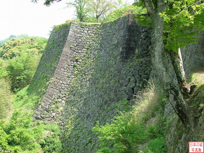 岡城 西中仕切 西中仕切付近から見る三の丸の高石垣