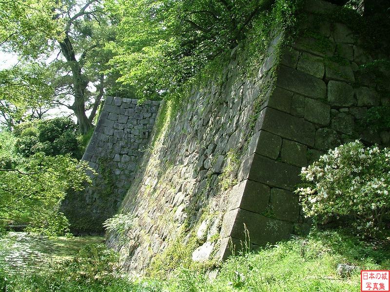 Kurume Castle