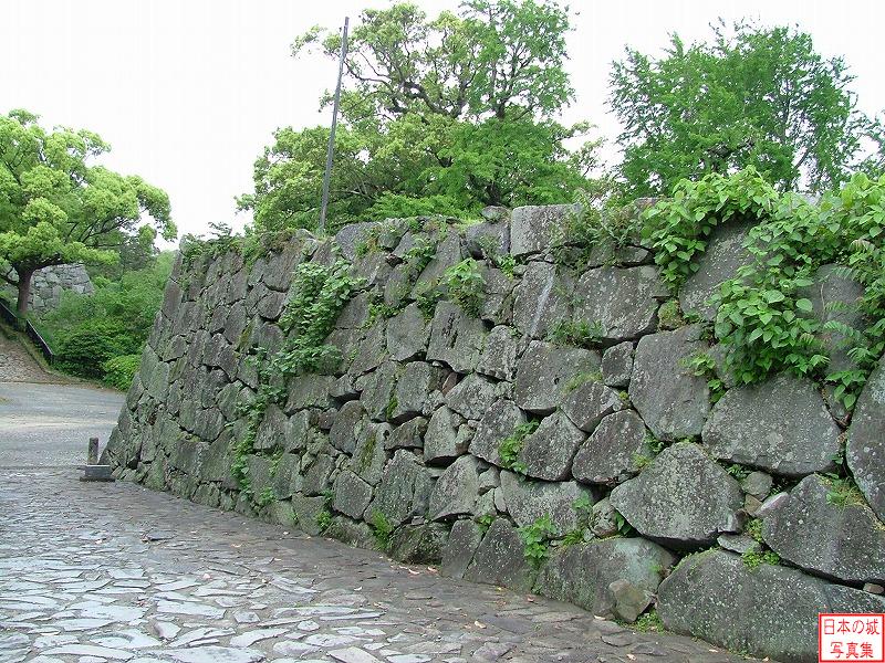 福岡城 本丸 裏門脇の石垣