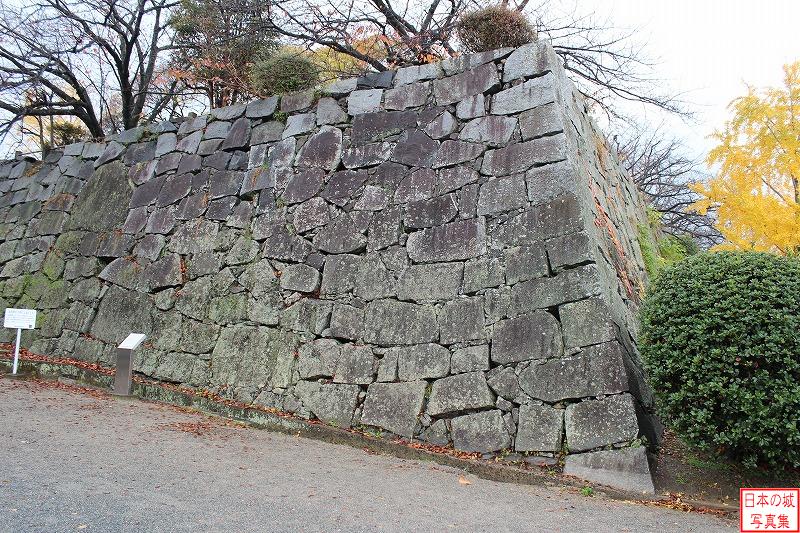 福岡城 東二の丸 東御門跡の石垣