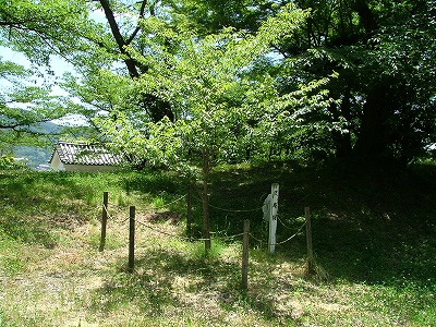 上山城 沢庵桜。紫衣事件で上山に配流された京都大徳寺の沢庵禅師の遺徳を偲ぶために植樹されたもの。