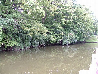 久保田城 城の東側の堀