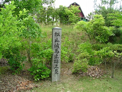 出羽松山城 馬出跡土塁