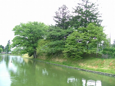 新庄城 水堀