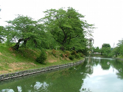 新庄城 水堀