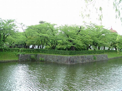 鶴ヶ岡城 水堀