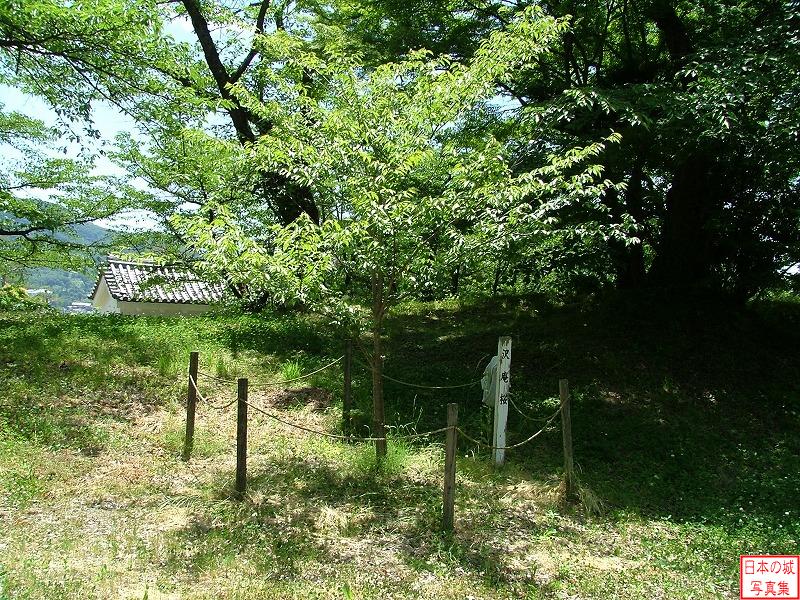 沢庵桜。紫衣事件で上山に配流された京都大徳寺の沢庵禅師の遺徳を偲ぶために植樹されたもの。