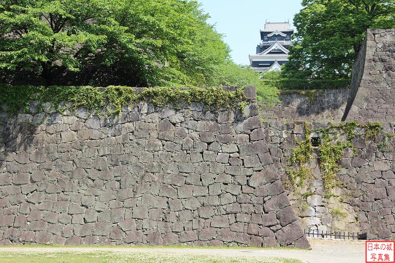 熊本城 竹の丸 竹の丸から天守へ抜ける道の左手にある石垣