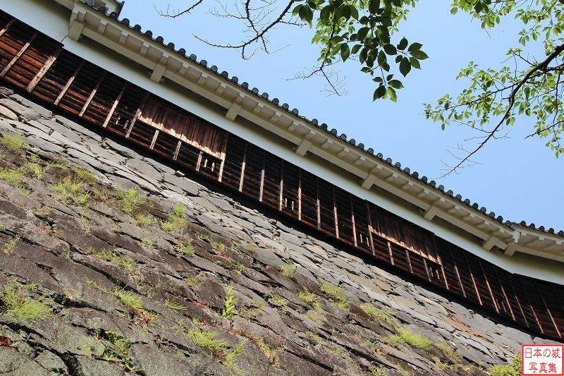熊本城 十四間櫓、七間櫓 高石垣上の七間櫓。田子櫓の北隣に位置する。