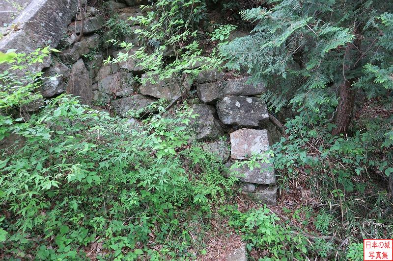 笠間城 天守曲輪 佐志能神社への石段脇の石垣。上中下の三段の石垣が築かれて、下段石垣の隅部は算木積みとなっている。