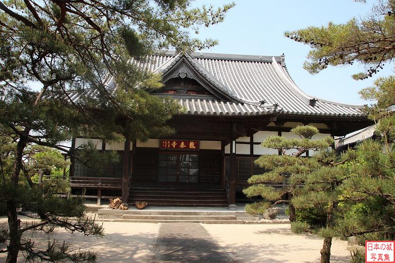 Saga Castle Relocated palace