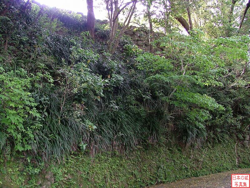 延岡城 三の丸 道脇の城壁。上部に石垣が見える