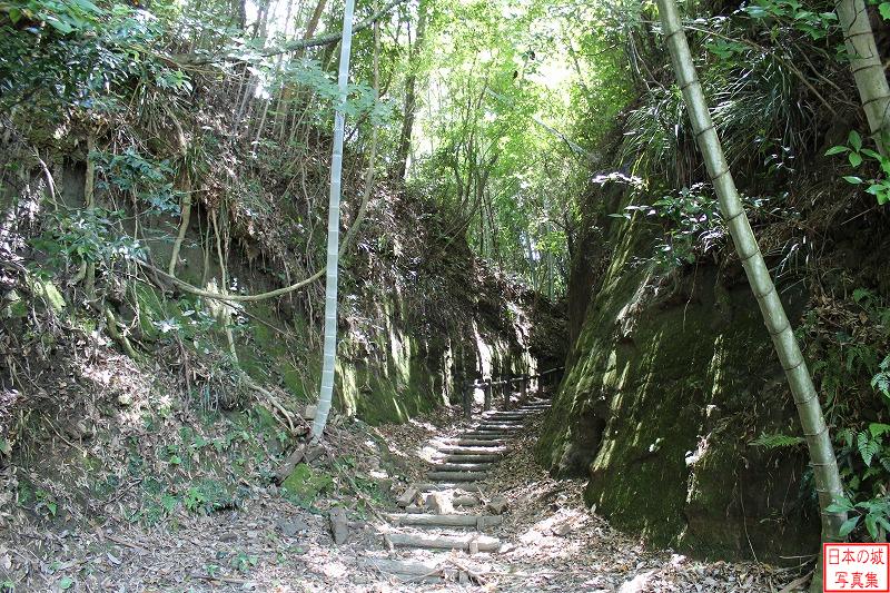 佐土原城 南の城跡へ 山城への道。切通しを進む。南九州特有の急斜面が見える。