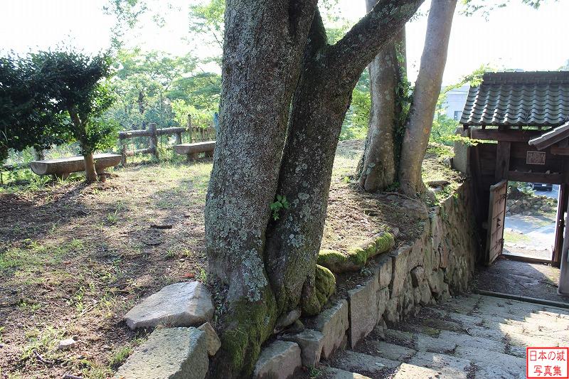鳥取城 中仕切門 中仕切門脇の石垣