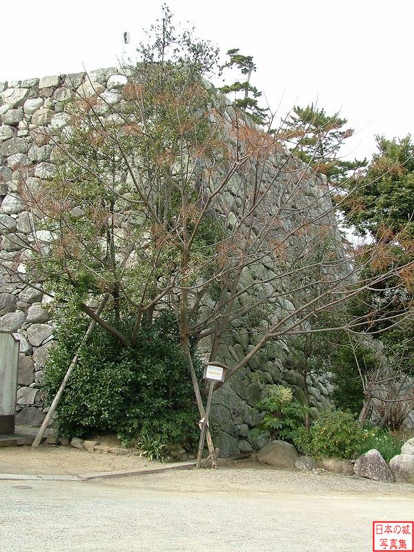 松坂城 二の丸 二の丸から見る石垣
