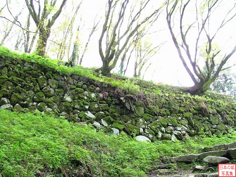 津和野城 三の丸(北側) 東門跡付近から見る石垣