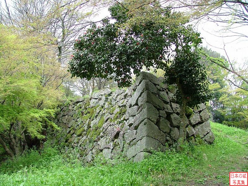 津和野城 三の丸(北側) 西櫓門跡の石垣(反対側)
