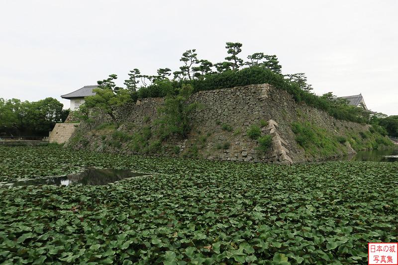 岸和田城 二の丸伏見櫓跡 伏見櫓跡付近の石垣。左奥に二の丸多聞トイレ、右奥に心技館が見える