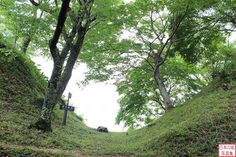 Mizawa Castle Main enclosure