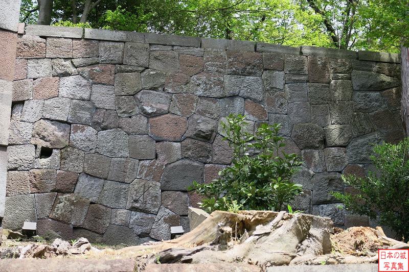 金沢城 色紙短冊積石垣 中央の一石だけ、表面の面取りの加工がされていない