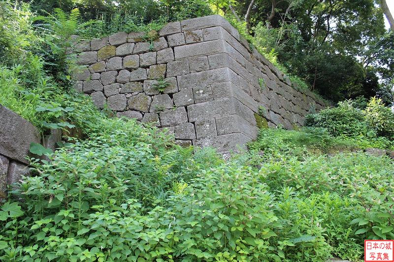 金沢城 薪の丸石垣 いもり坂から見る石垣