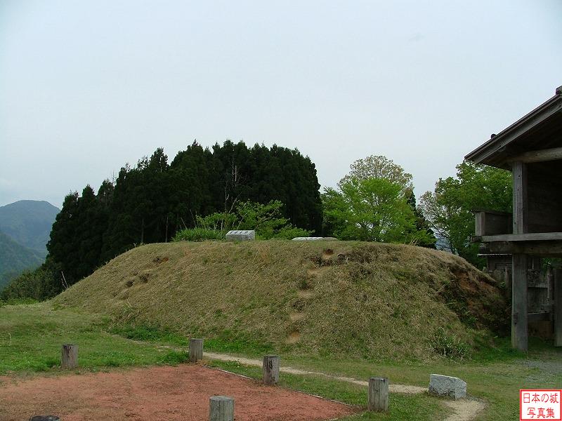 Torigoe Castle Main enclosure