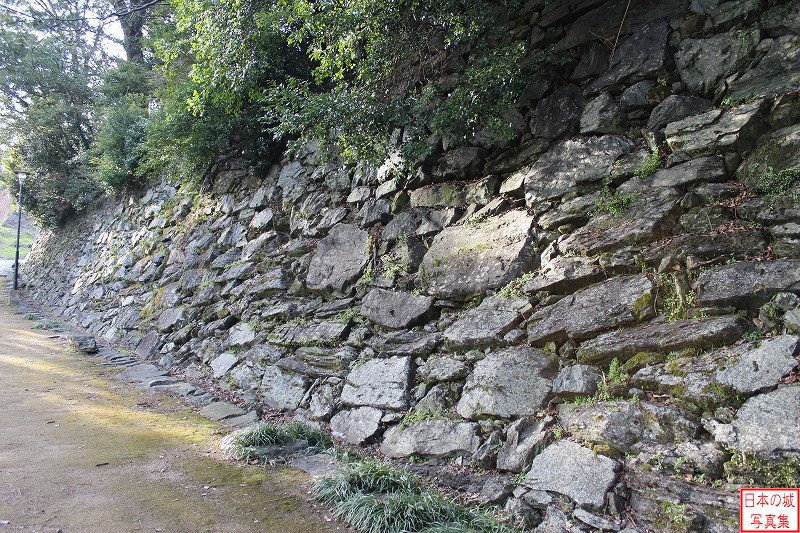 和歌山城 松の丸 松の丸右手石垣。右手の上には本丸跡がある。
