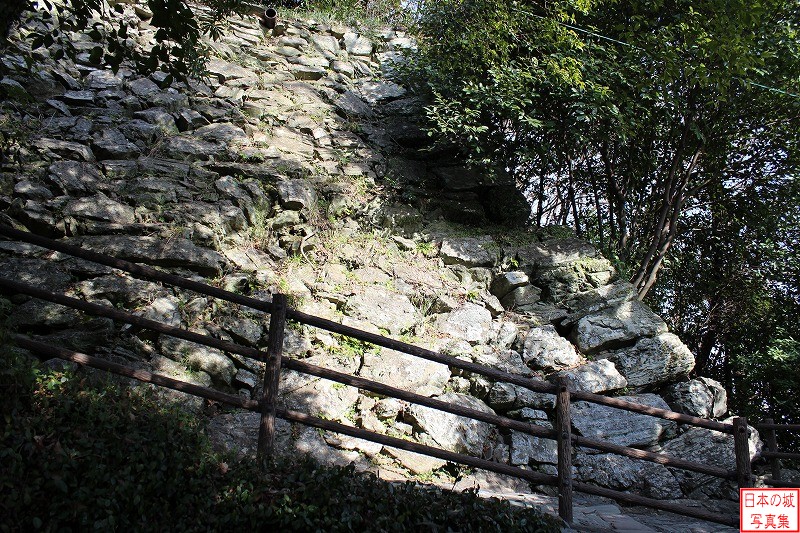 Wakayama Castle New ura-saka