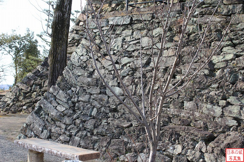 和歌山城 乾櫓 乾櫓下の石垣