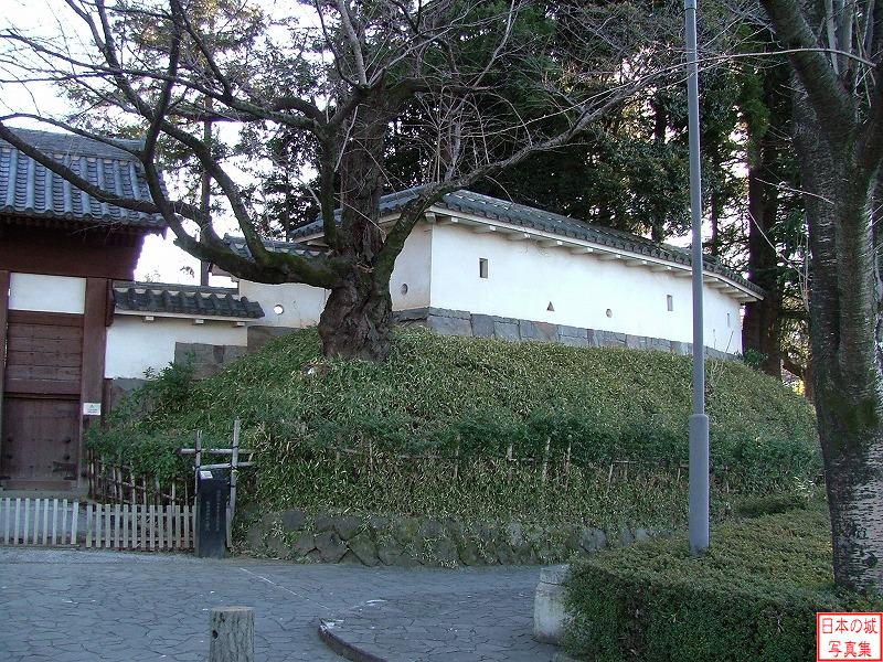 Tatebayashi Castle 