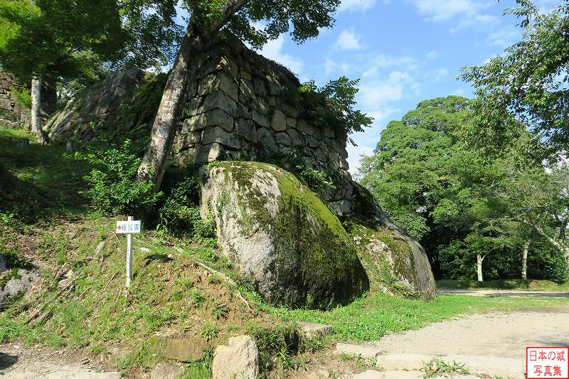 苗木城 大矢倉跡 風吹門を入り左手に見えるのが大矢倉。大矢倉の土台は巨石と石垣を組み合わせて出来ている