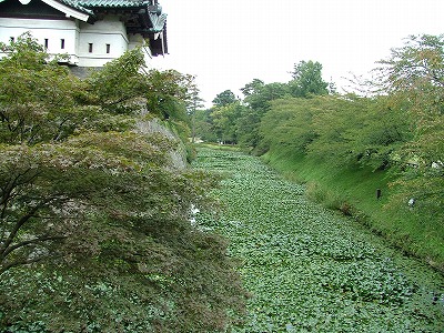 弘前城 下乗橋から北側の内堀を見る