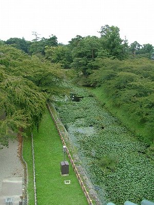 弘前城 天守から見る内濠