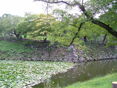 弘前城 北の郭から見る本丸石垣