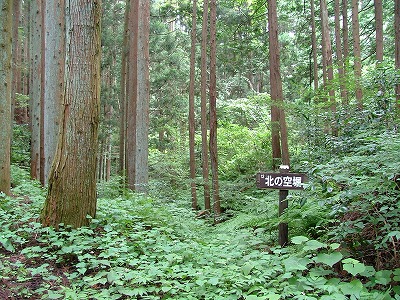 岩出山城 北の空堀