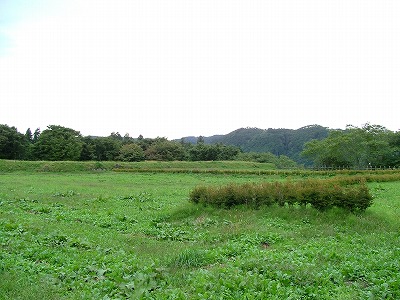 九戸城 本丸のようす