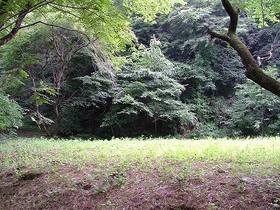 仙台城 酒蔵跡のようす