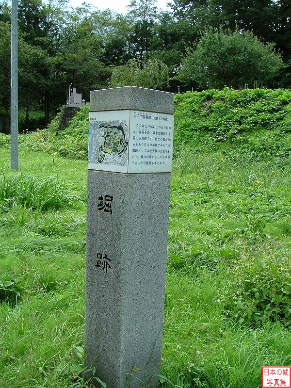 九戸城への道は大手門脇堀（二の丸と松の丸、在府小路（武家屋敷跡）を隔てる堀）を通る。この堀は幅約60mもあるとのこと。