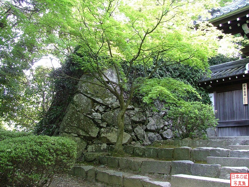 Hachimanyama Castle 