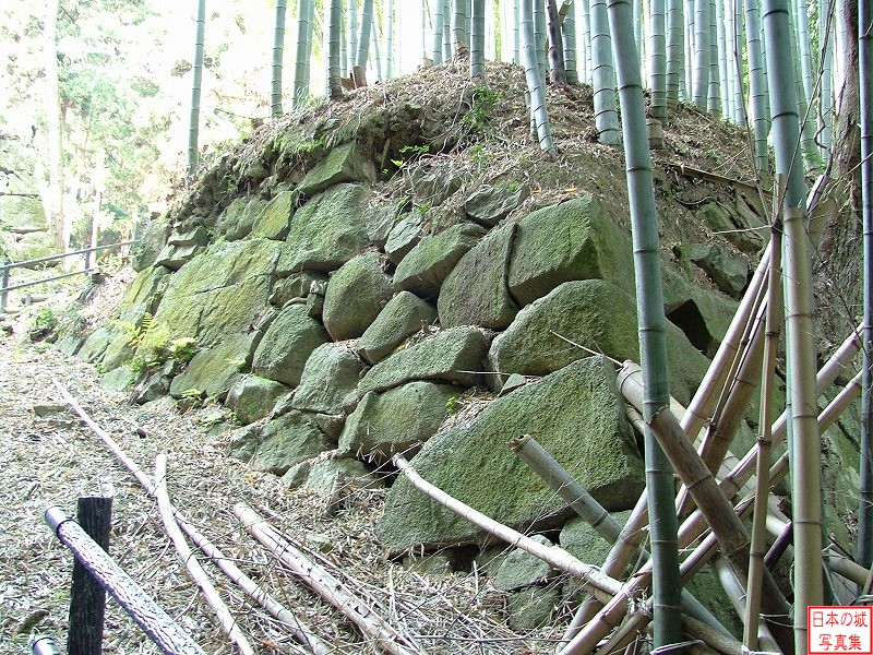Hachimanyama Castle 