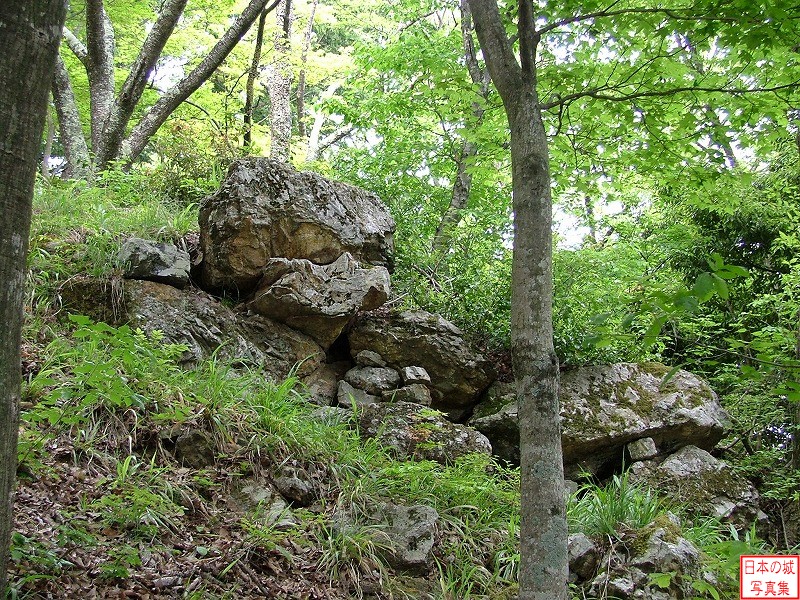 小谷城 桜馬場 残存する石垣
