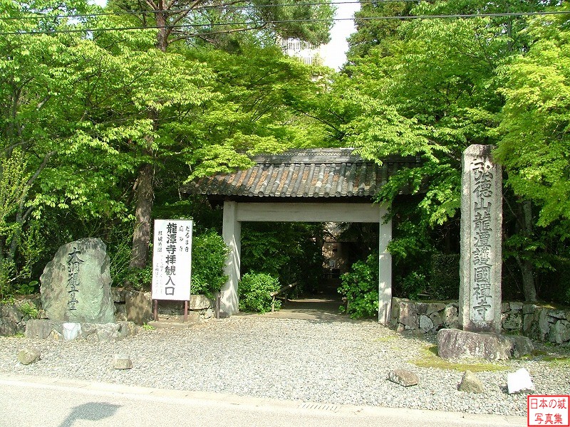 Sawayama Castle 