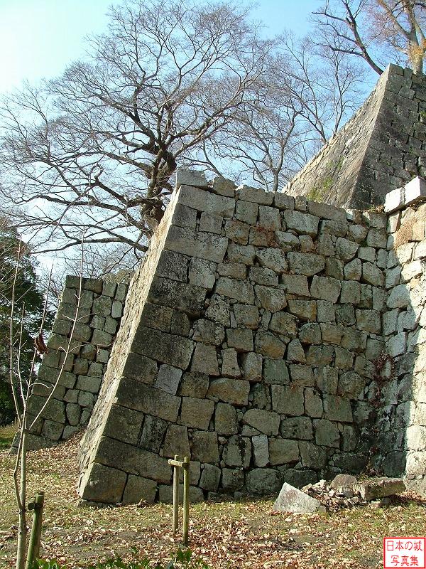 丸亀城 栃の木御門跡 栃の木御門跡付近の石垣