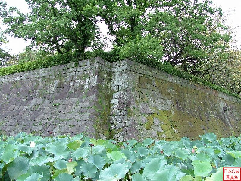 鹿児島城 城外 本丸北東隅の石垣。鬼門除けに切り欠きが入っている。
