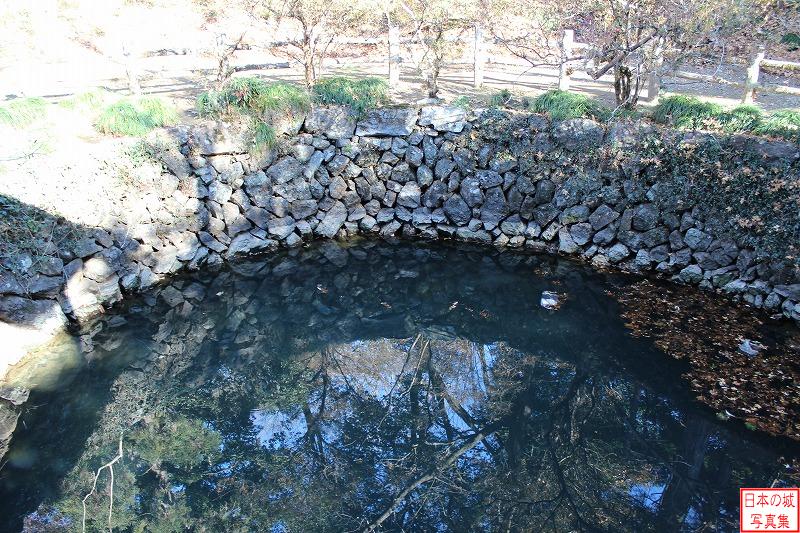 唐沢山城 神橋付近 大炊の井。今でも水が湧き出る